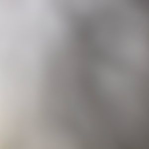 Meet your Posher, Joeselin